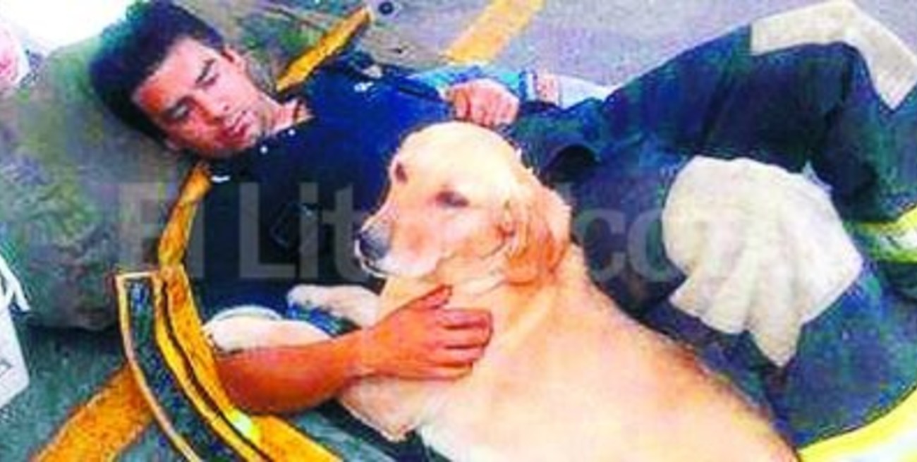 Luna, la perra de Paraná que colabora para hallar víctimas