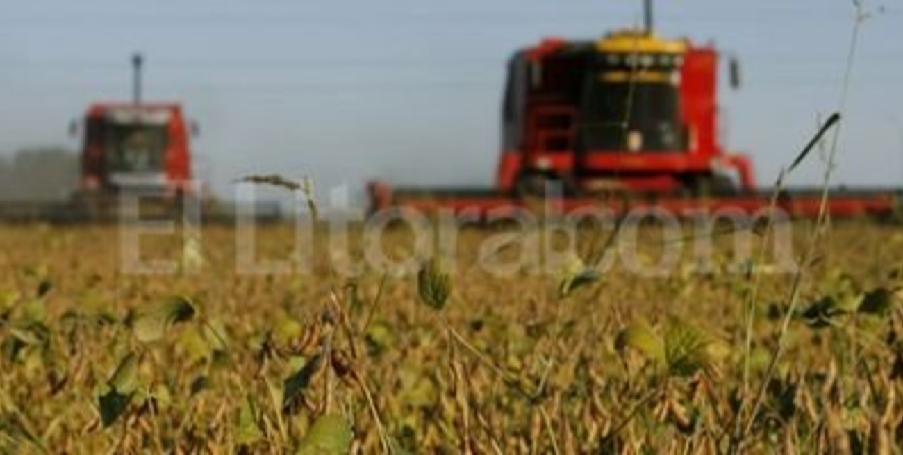 La Casa Rosada se come la porción más grande de la soja santafesina