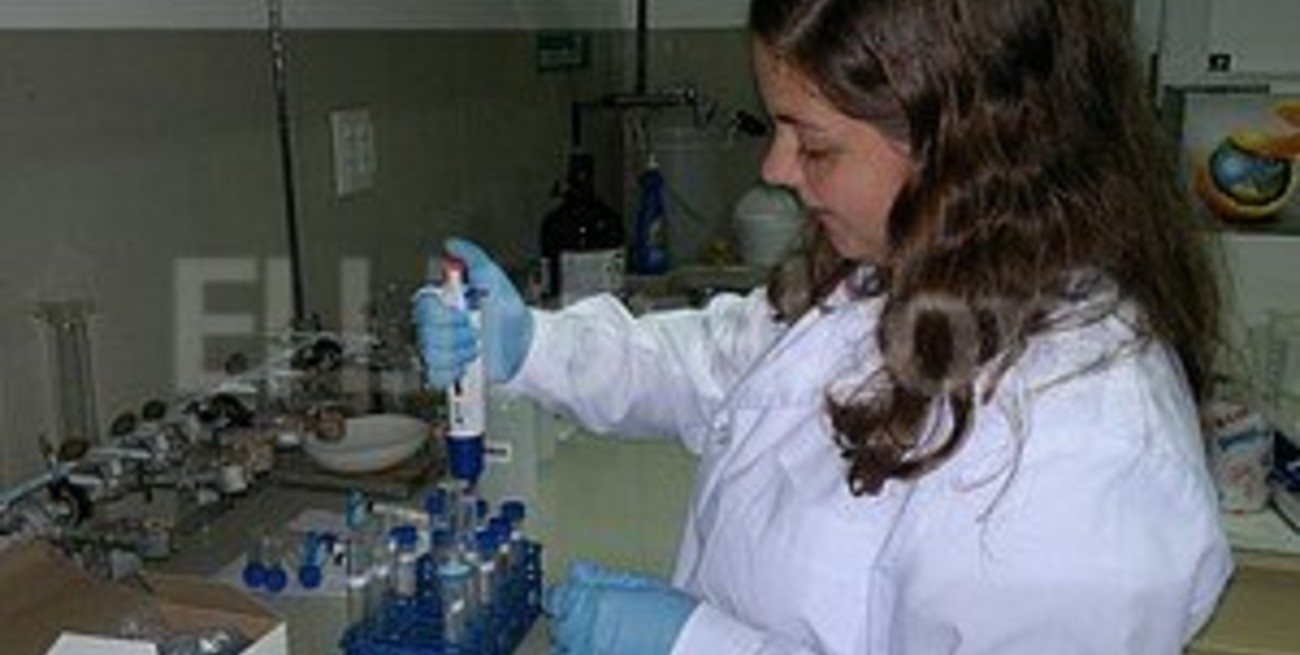 Premian una investigación en el área de Química de la UNL