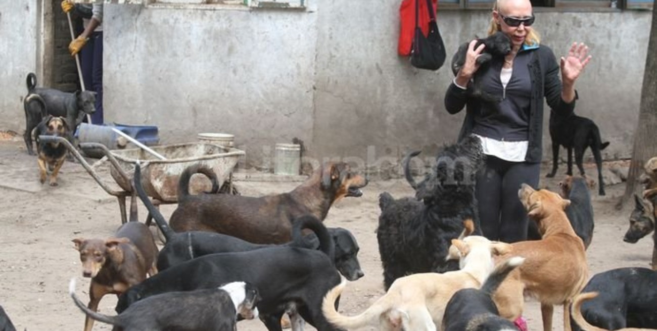 Polémica por un refugio de 200 perros en Sauce Viejo