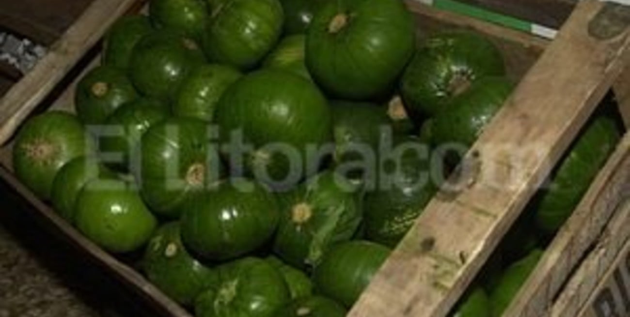 En Santa Fe el kilo de zapallitos tiene un costo de 35 pesos