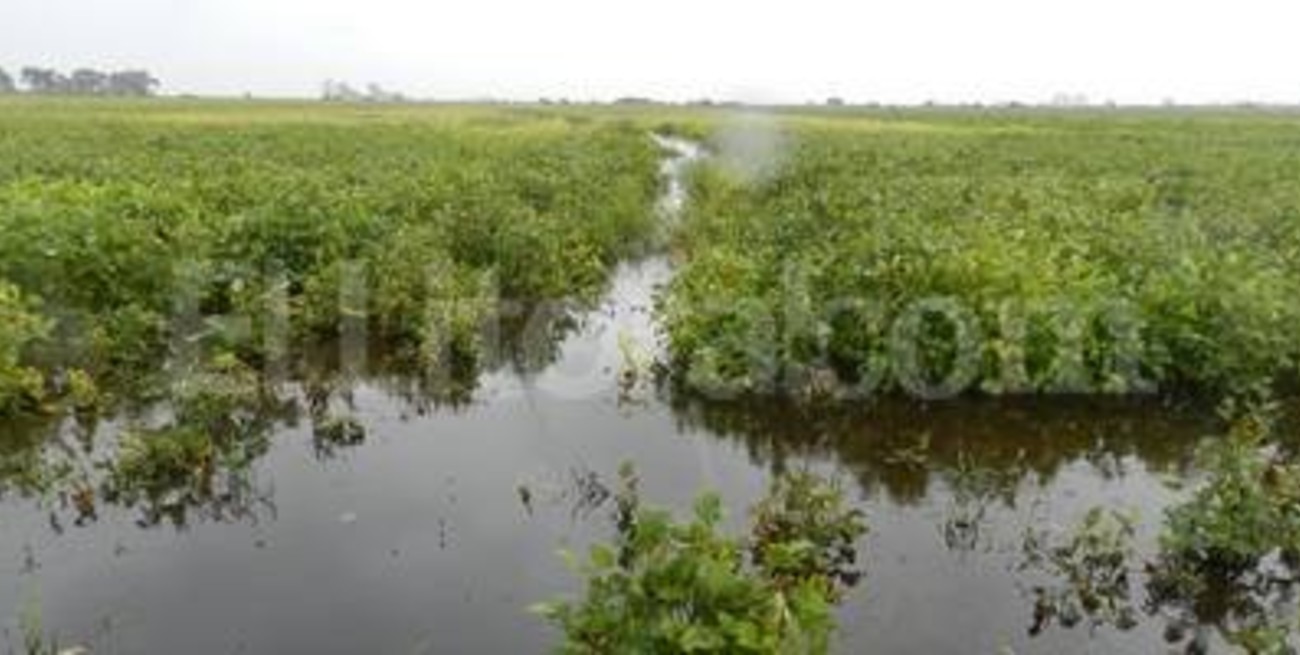 Ocho departamentos santafesinos en zona de emergencia climática