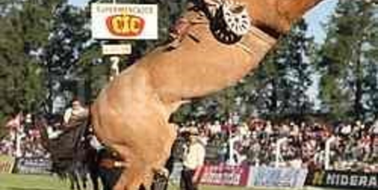 Ya está todo listo para la Fiesta de la Doma