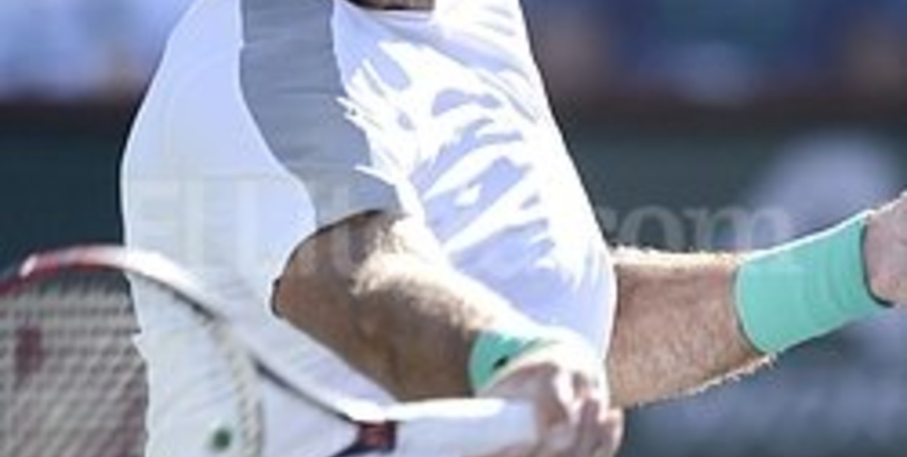 Del Potro derrotó a Andy Murray