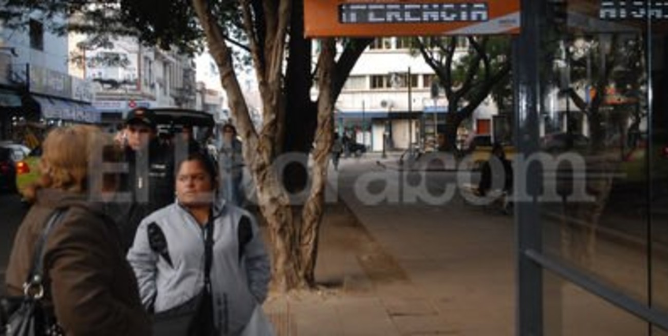 El servicio "Cuándo pasa" recibió 367 mil consultas