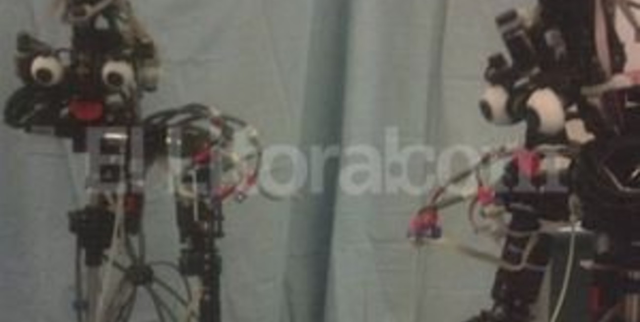 Nico, un robot "coqueto"