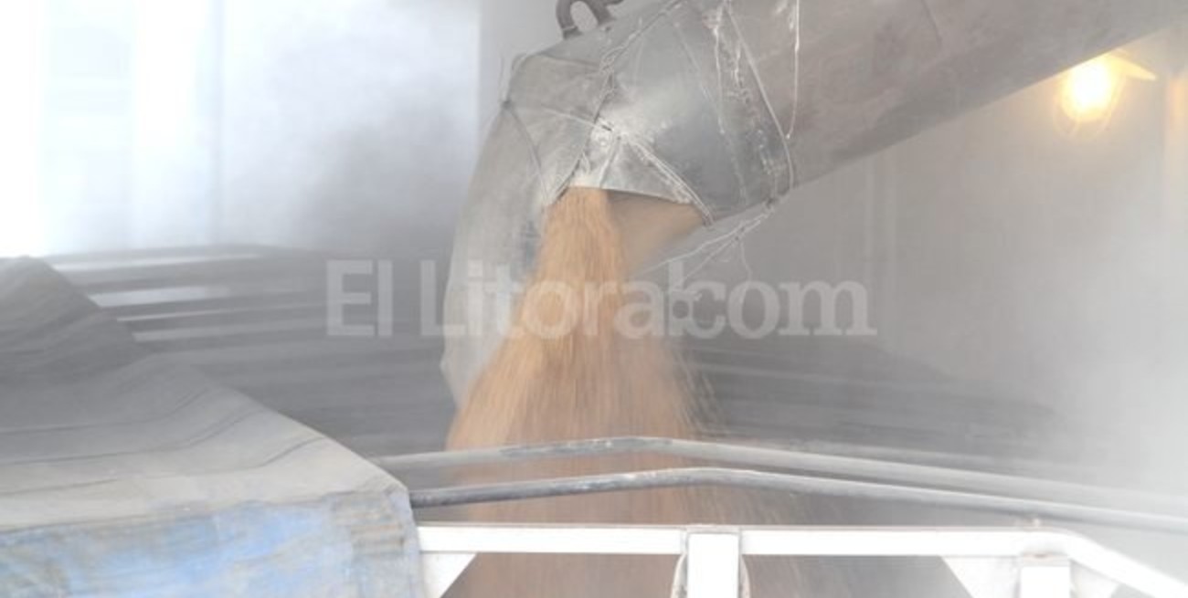 Paro nacional de recibidores de granos paraliza puertos