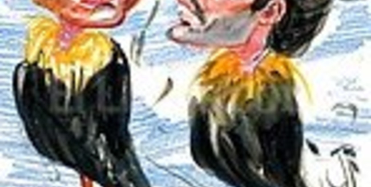 Descalzos en el parque