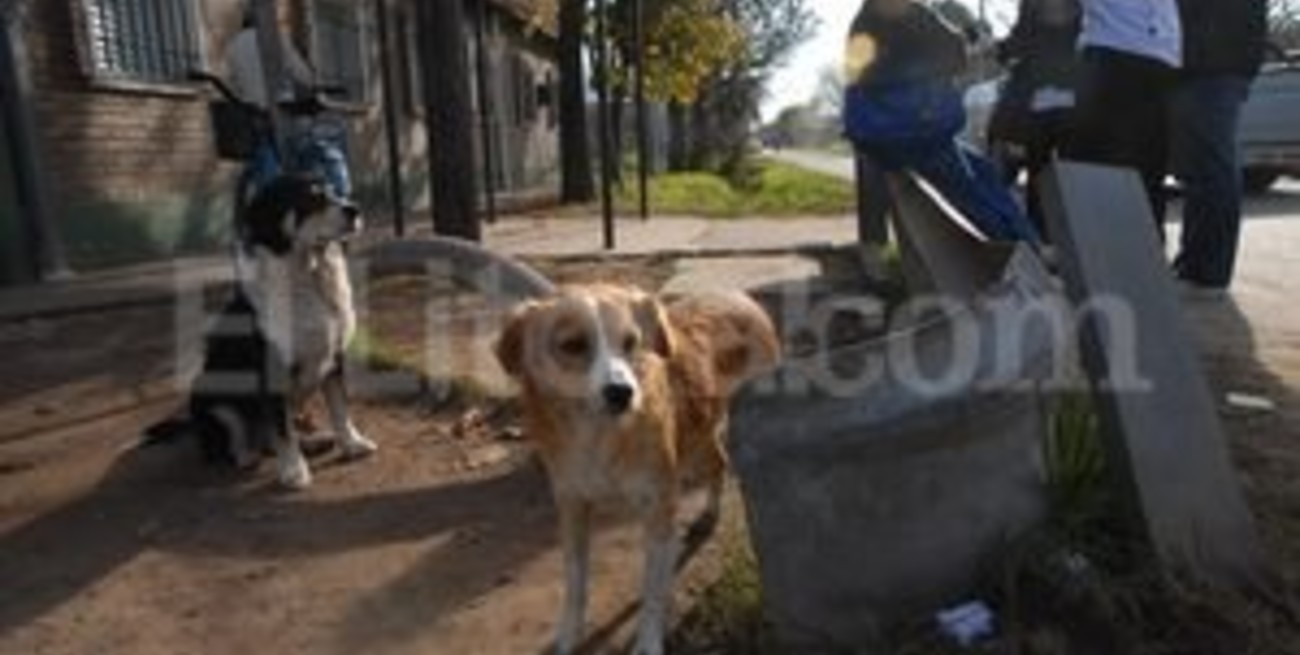 Cabaña Leiva: el jardín del norte