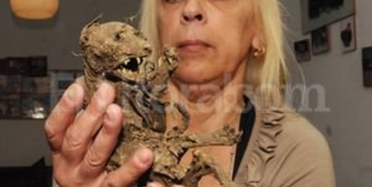 En Rosario exhiben al "chupacabras"