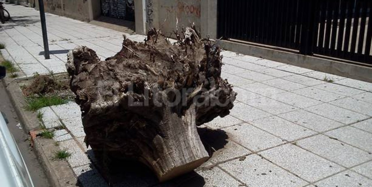 Molino Franchino ¿De vacaciones?