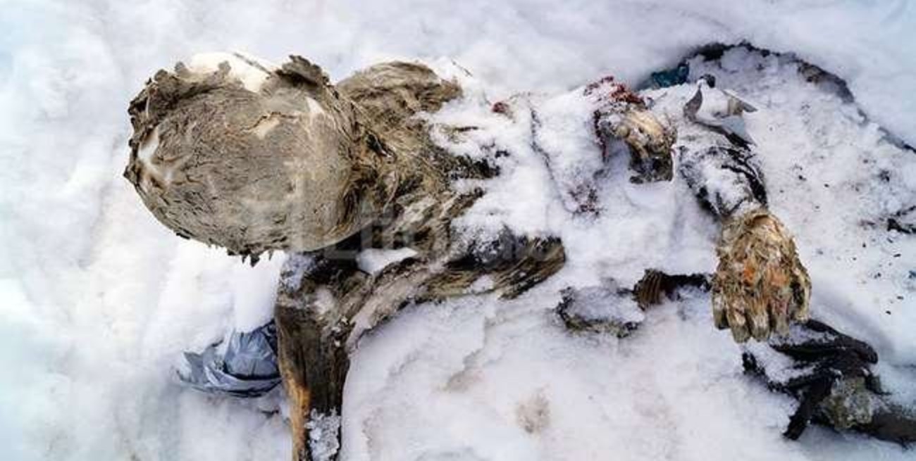 Encuentran cuerpos momificados hace unos 50 años en volcán mexicano