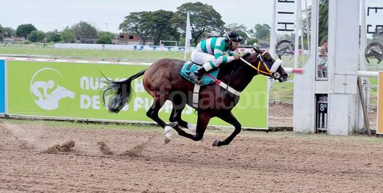 Reader in Law fue contundente