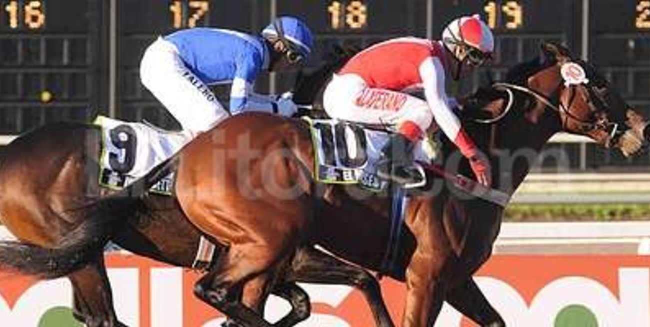 El Moisés ante los mayores