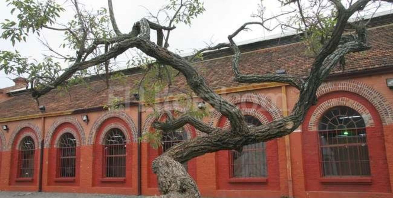 Inauguran el primer Centro Territorial de Denuncias