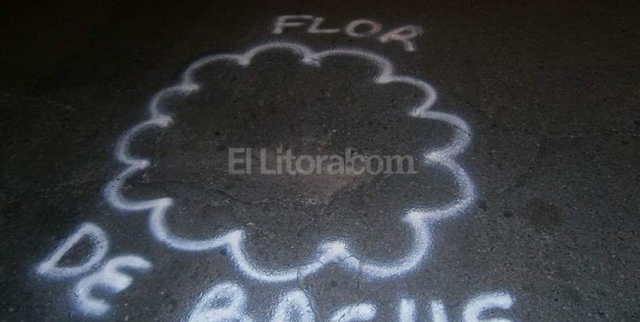 "Flor de bache" en barrio Candioti