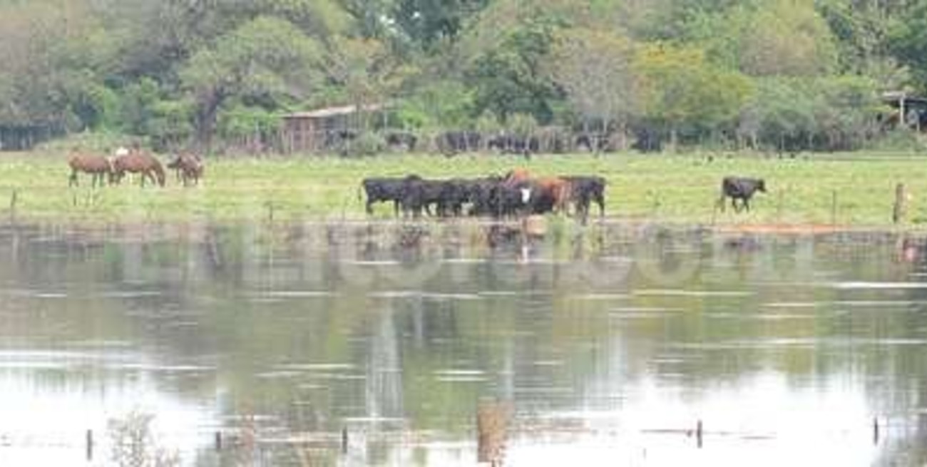 La zona agrícola no termina de evaluar las consecuencias