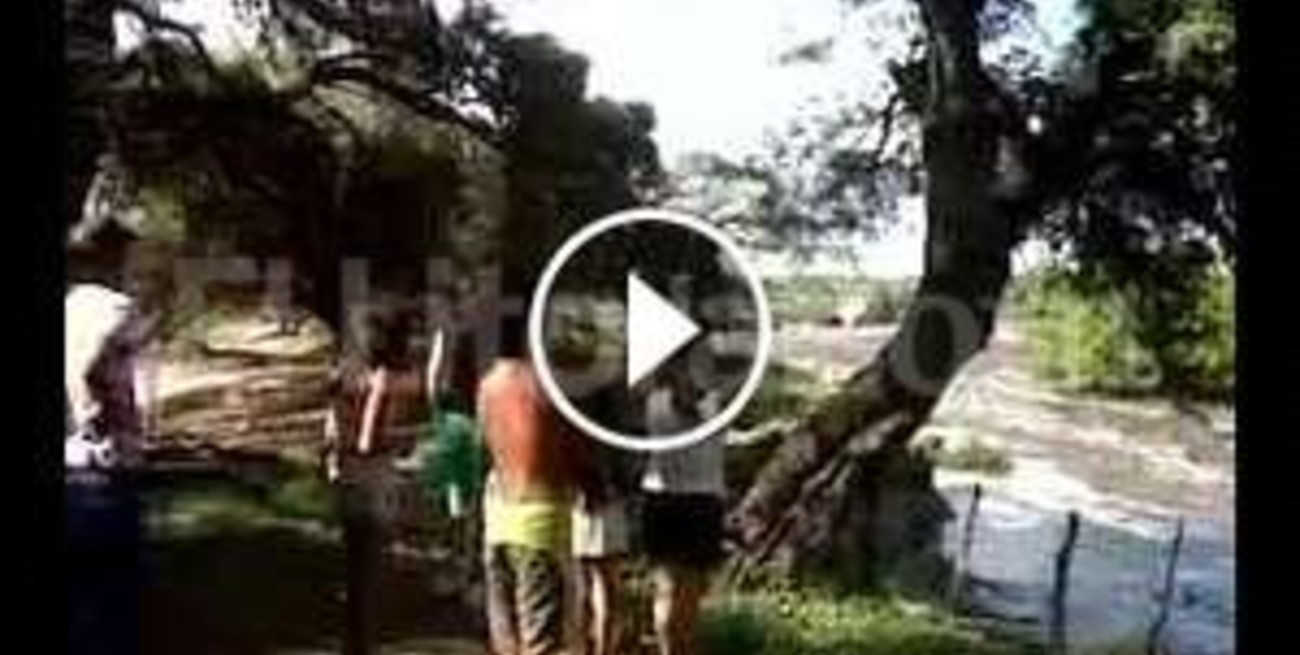 Estremecedora crecida