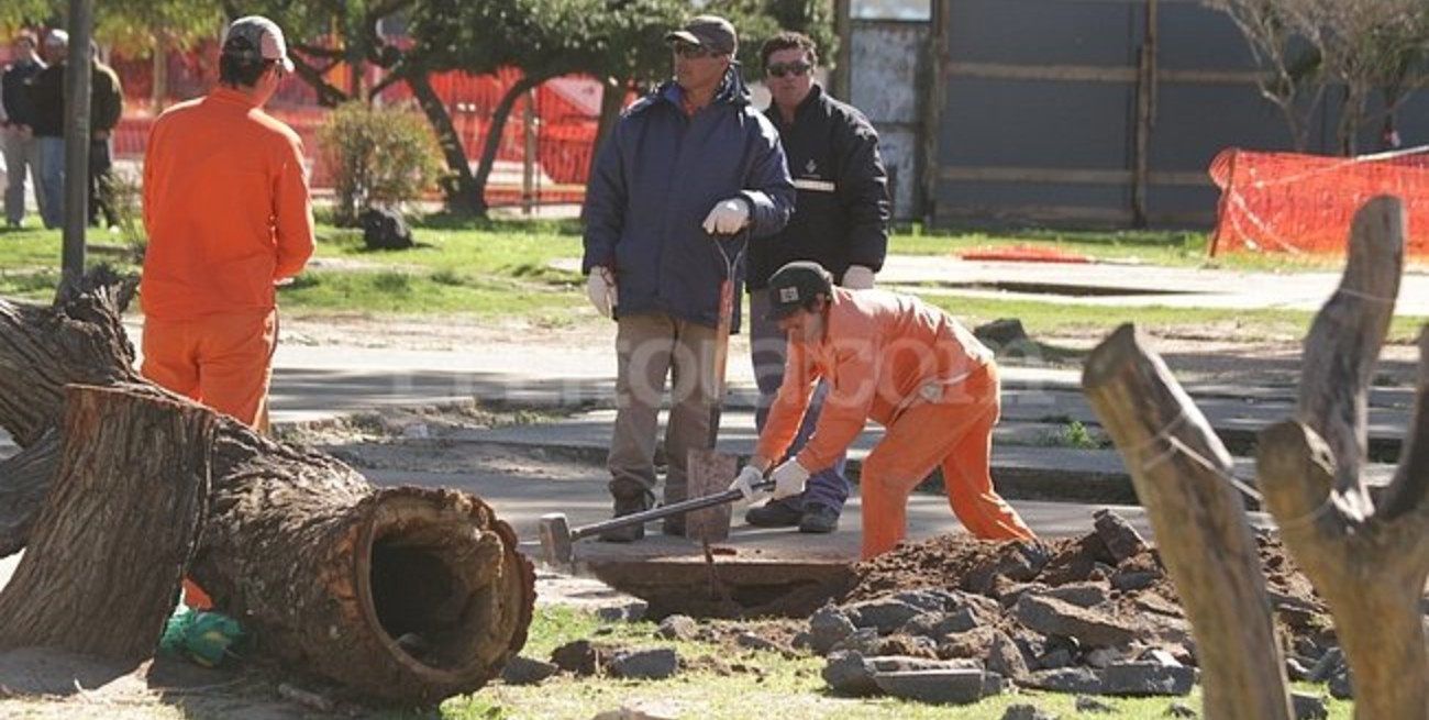 Parque Alberdi: el municipio consideró factible incorporar cambios al proyecto