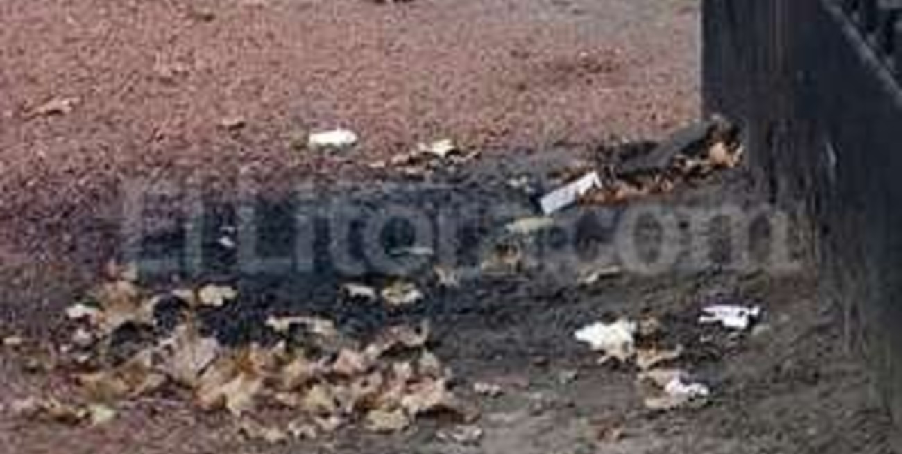 Investigan la aparición de un cuerpo calcinado de una mujer a metros de la torre Le Parc