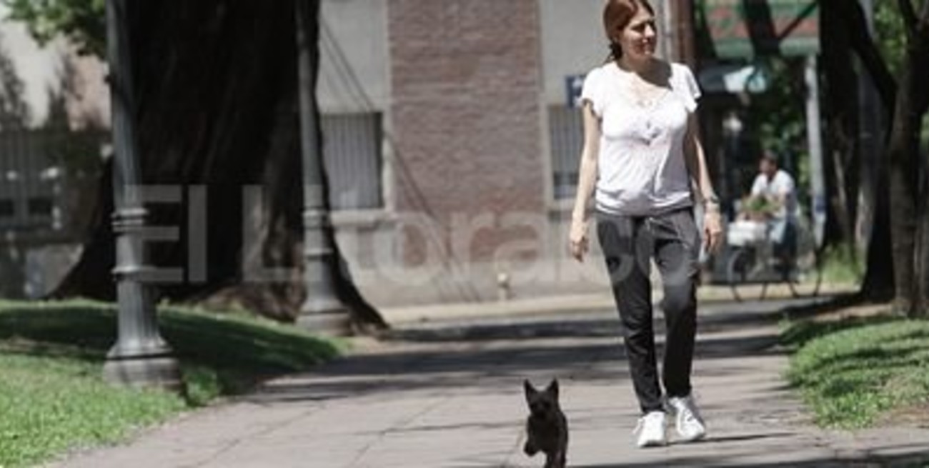 Constituyentes, un homenaje a los congresales de 1853