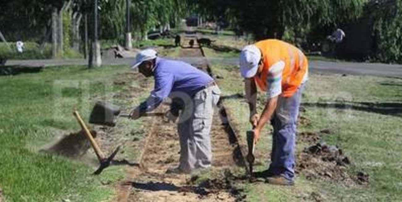 Tren Urbano: abren los sobres de licitación para obras