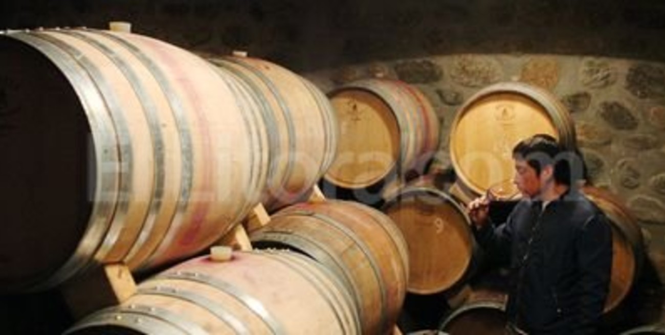  Afirman que una copa de vino tinto al día para mujeres y dos para hombres reduce estrés oxidativo 