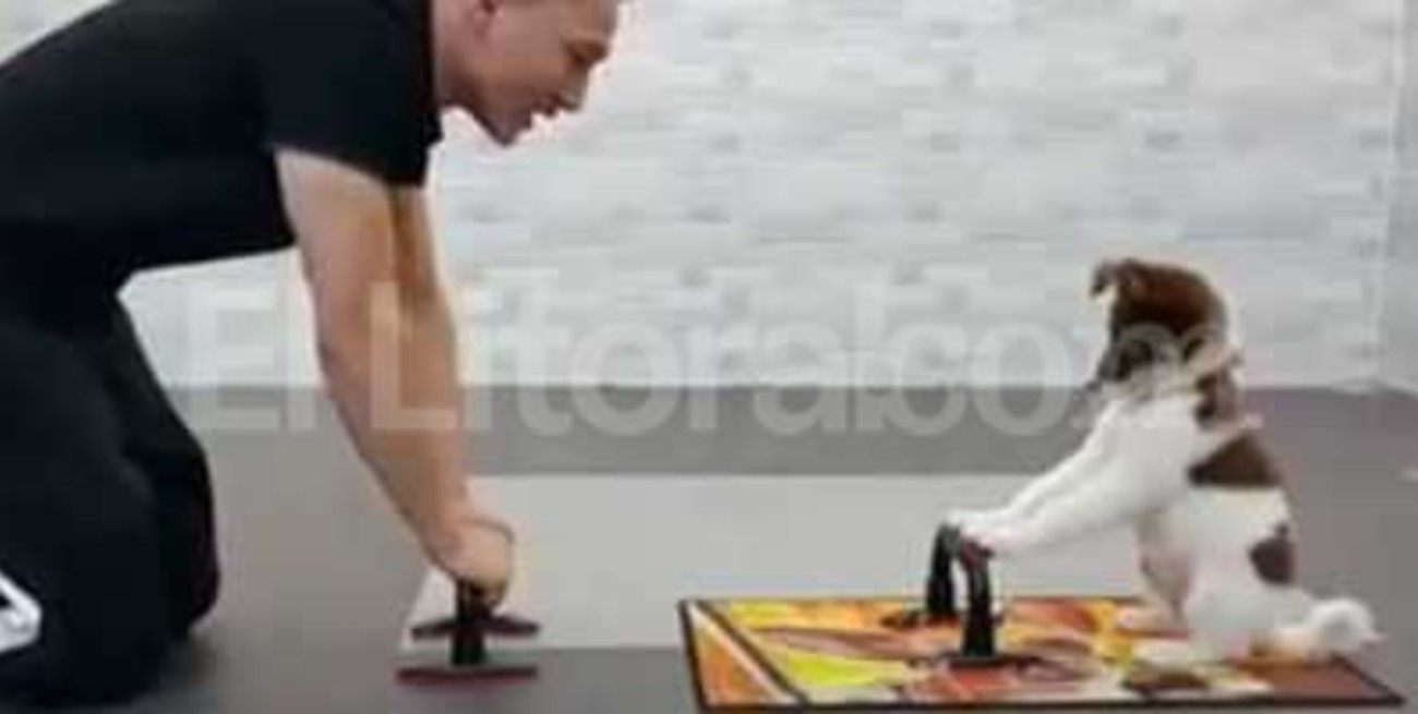 Haciendo abdominales con su perro 