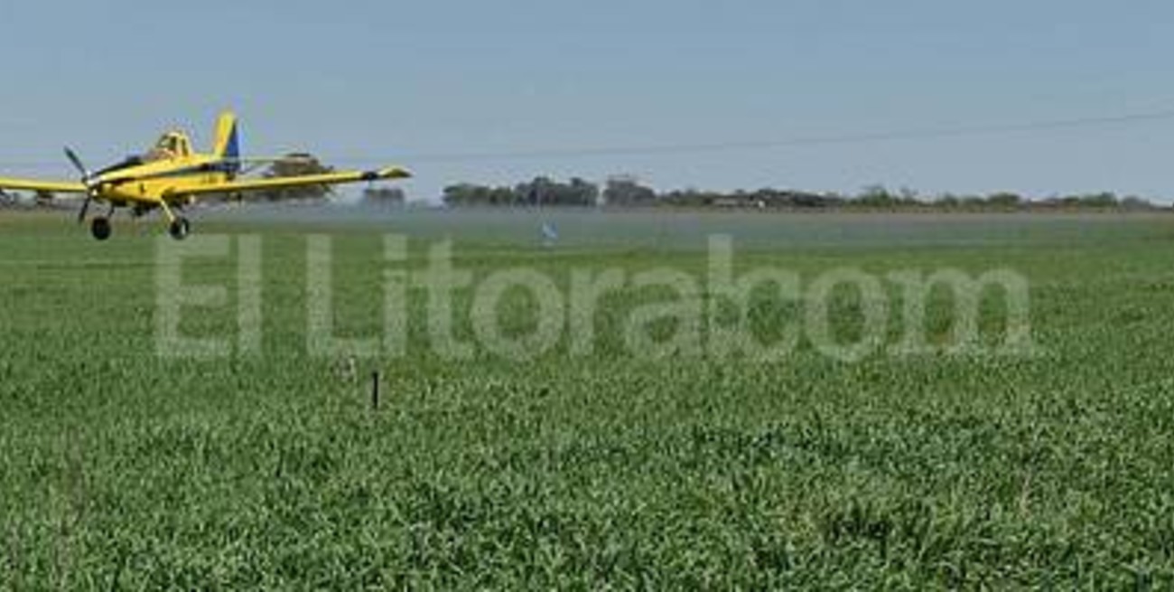 "Queremos que nos controlen"