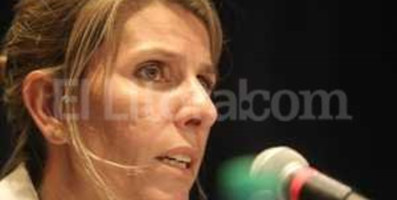 Arroyo Salgado pidió que la investigación quede a cargo de la jueza Palmaghini