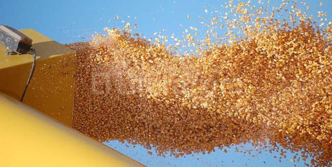 Crean un fondo por $ 2.500 millones para pequeños y medianos productores de granos