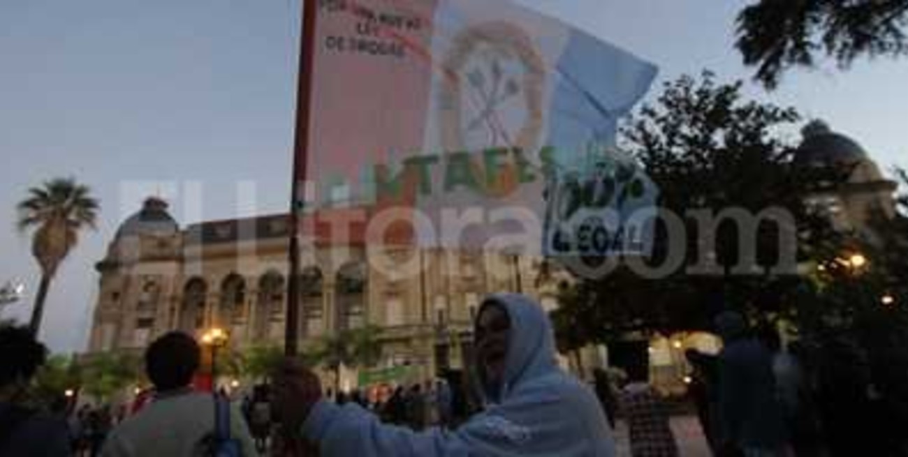 Marcharon a favor del autocultivo de marihuana y en contra del narcotráfico