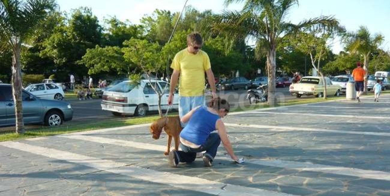 En Londres harán ADN a la caca de perro para identificar a sus dueños