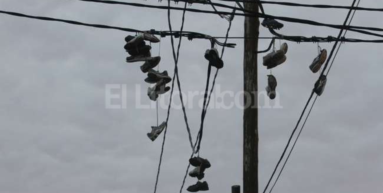 Los perros del narco: crecer en una economía dominada por las drogas