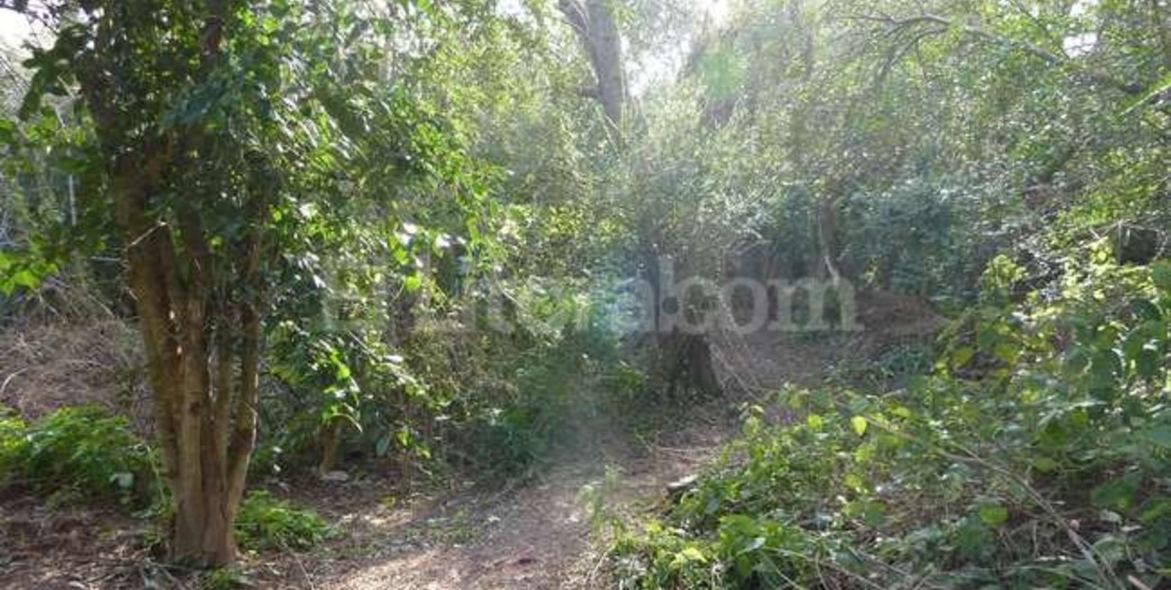 Macabro hallazgo en Alto Verde