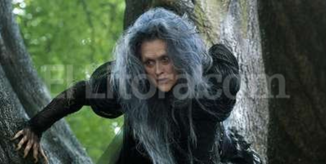 Había una vez un bosque