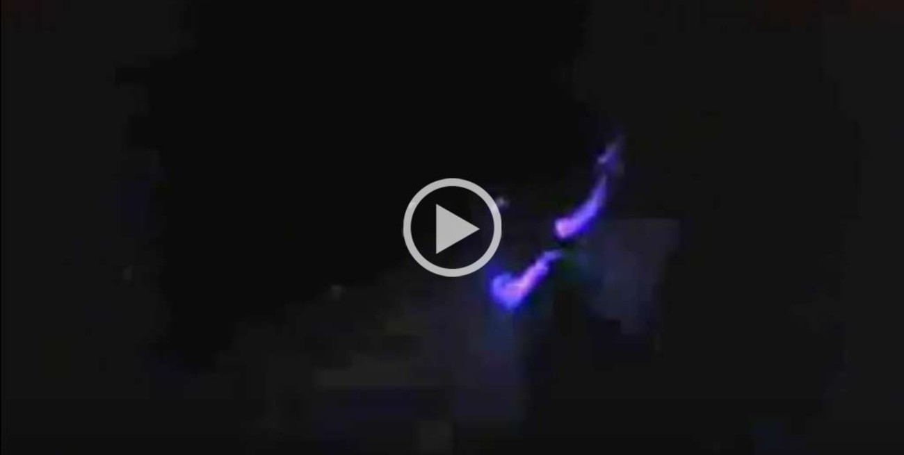 Presuntos policías tiran tiros al aire mientras bailan cumbia