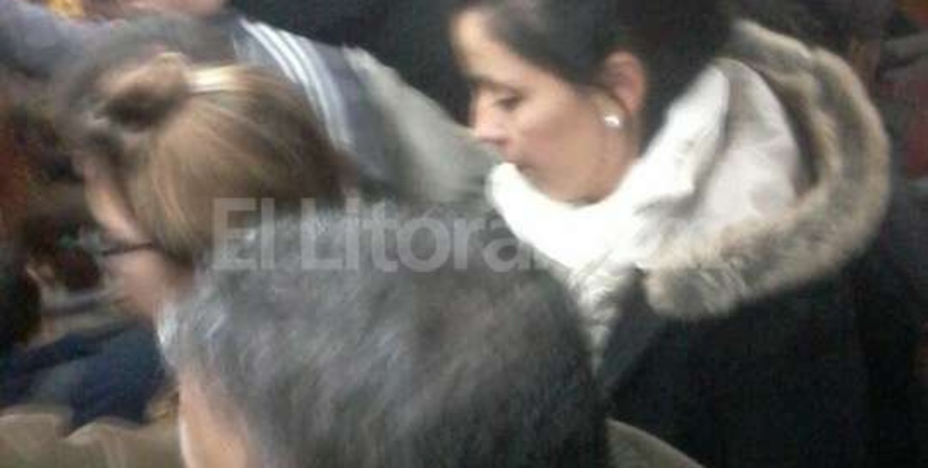 Como ganado en el colectivo