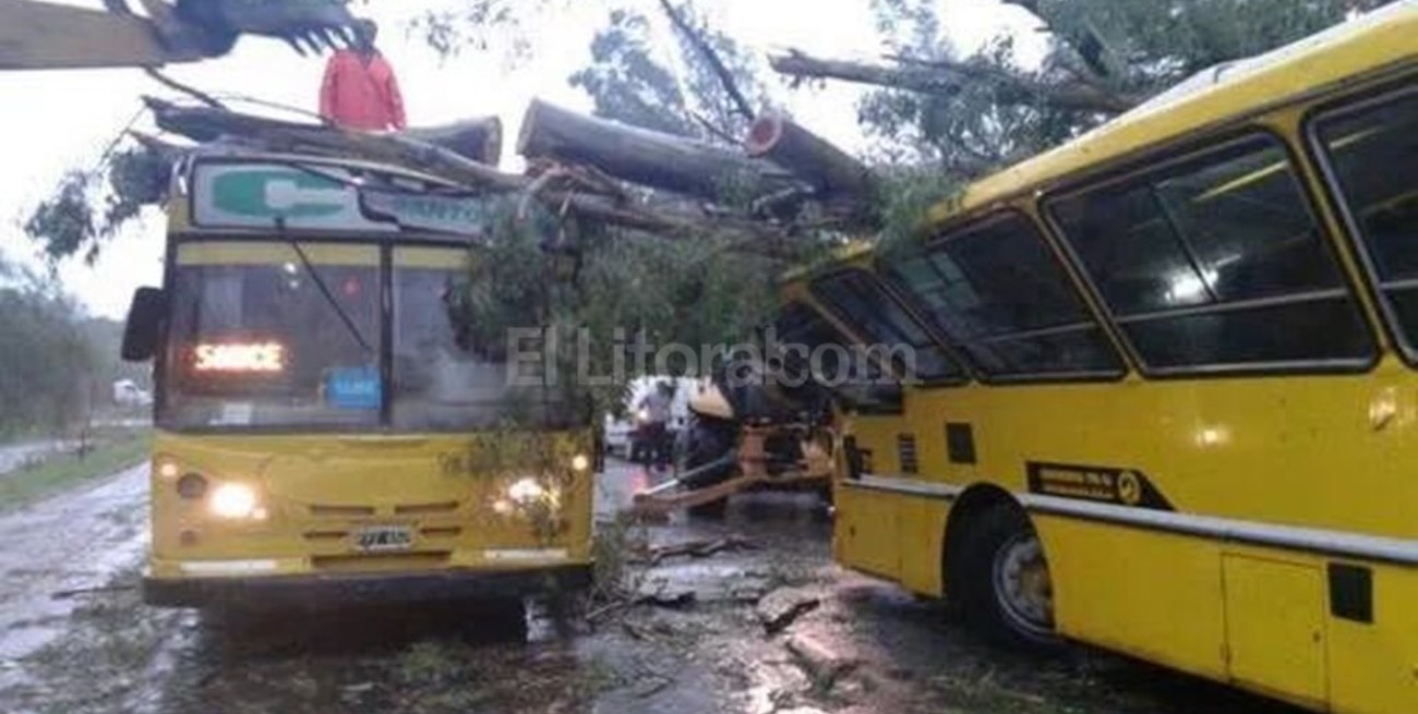 Fotos: las consecuencias de la tormenta