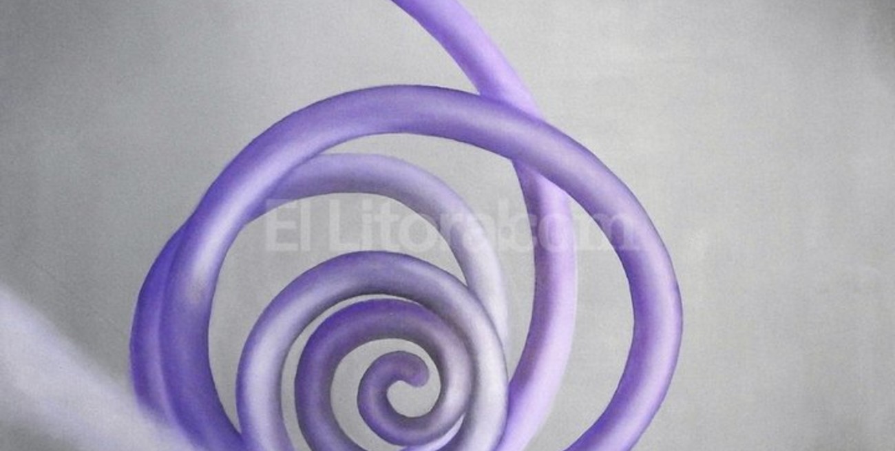 Artistas plásticos santafesinos inauguran dos salones