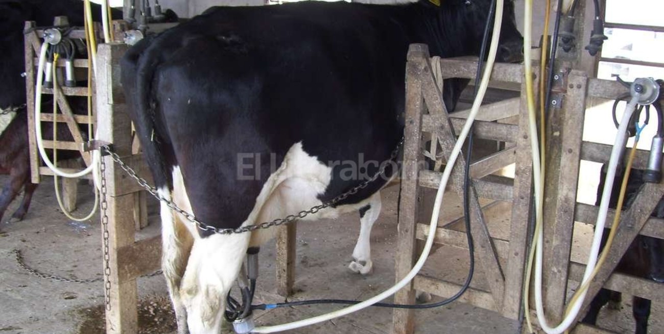 Intentan evitar nuevo conflicto en la lechería