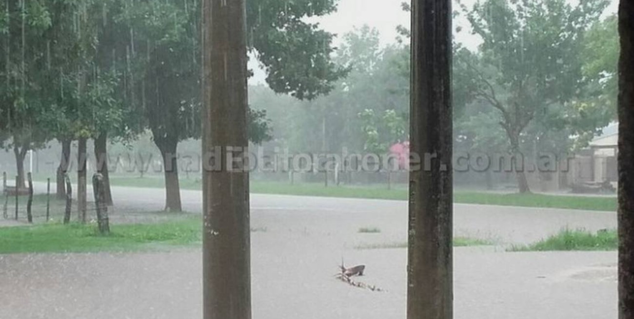 Alejandra en situación desesperante