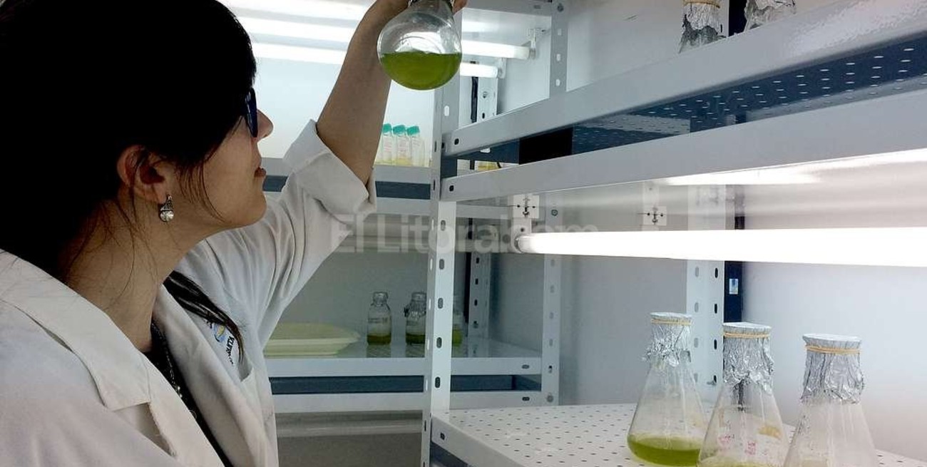 El futuro llegó, y es color verde