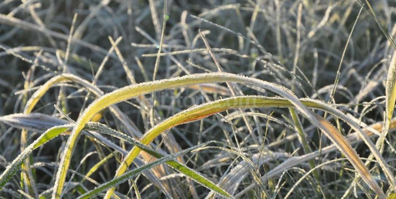 Récord nacional de demanda de energía eléctrica