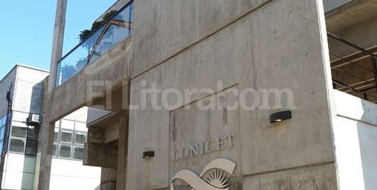 Recorte presupuestario: unos 100 investigadores quedarían fuera del Conicet Rosario