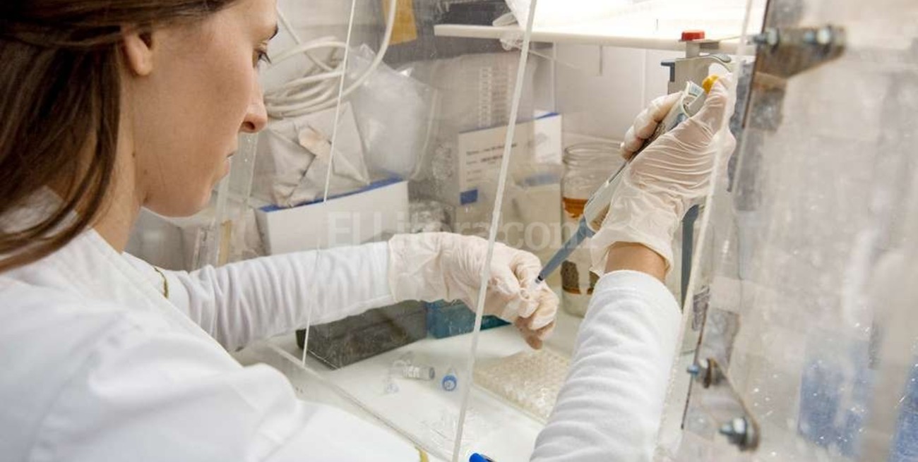 Se creó el nuevo Instituto de Química Aplicada del Litoral