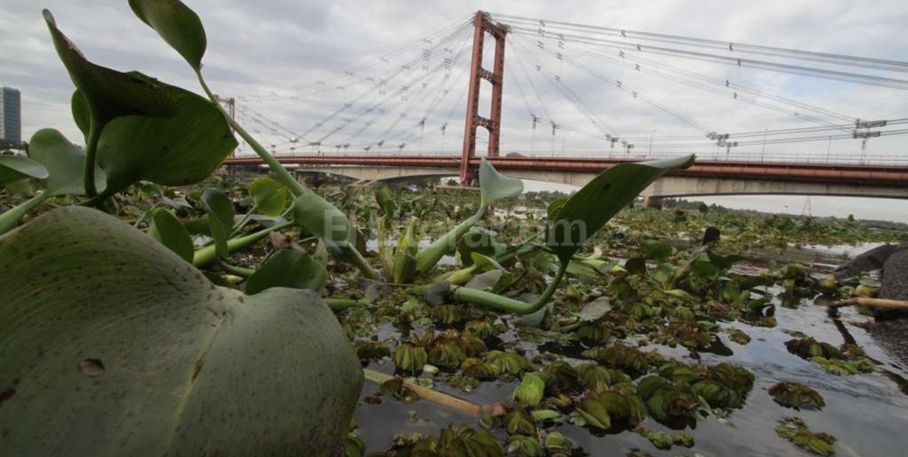 Decretaron la emergencia hídrica por la crecida del Paraná 