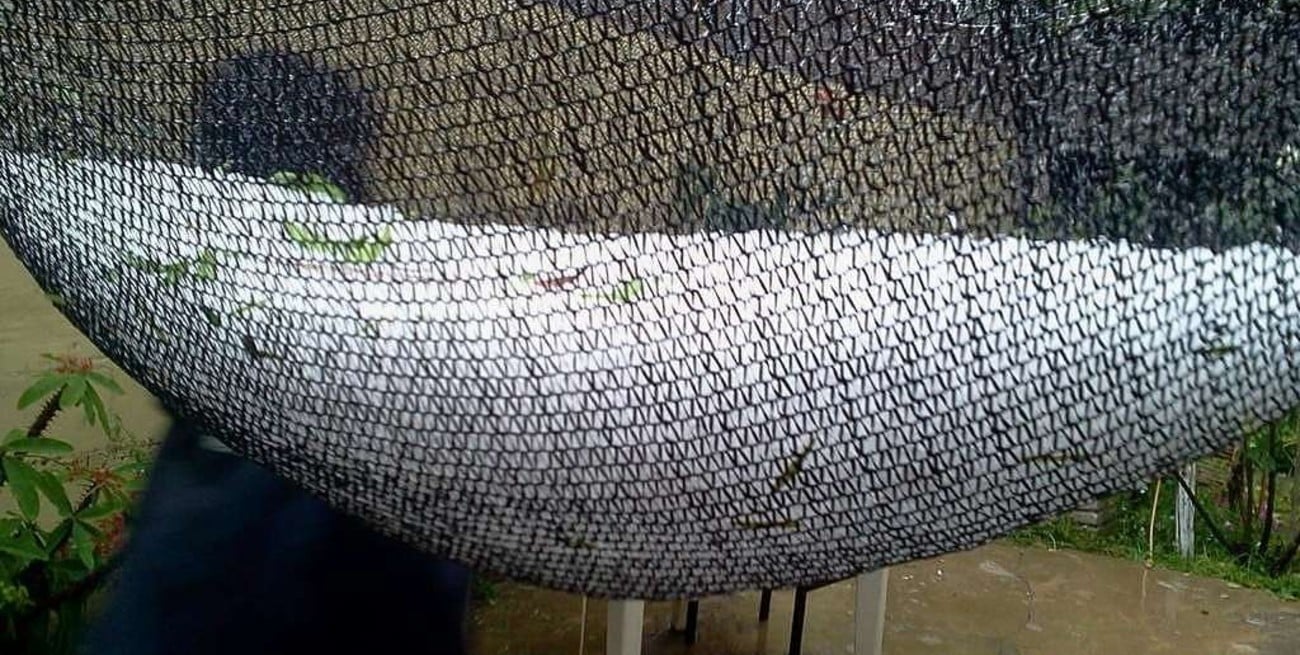 Fuerte granizada en el centro y oeste provincial