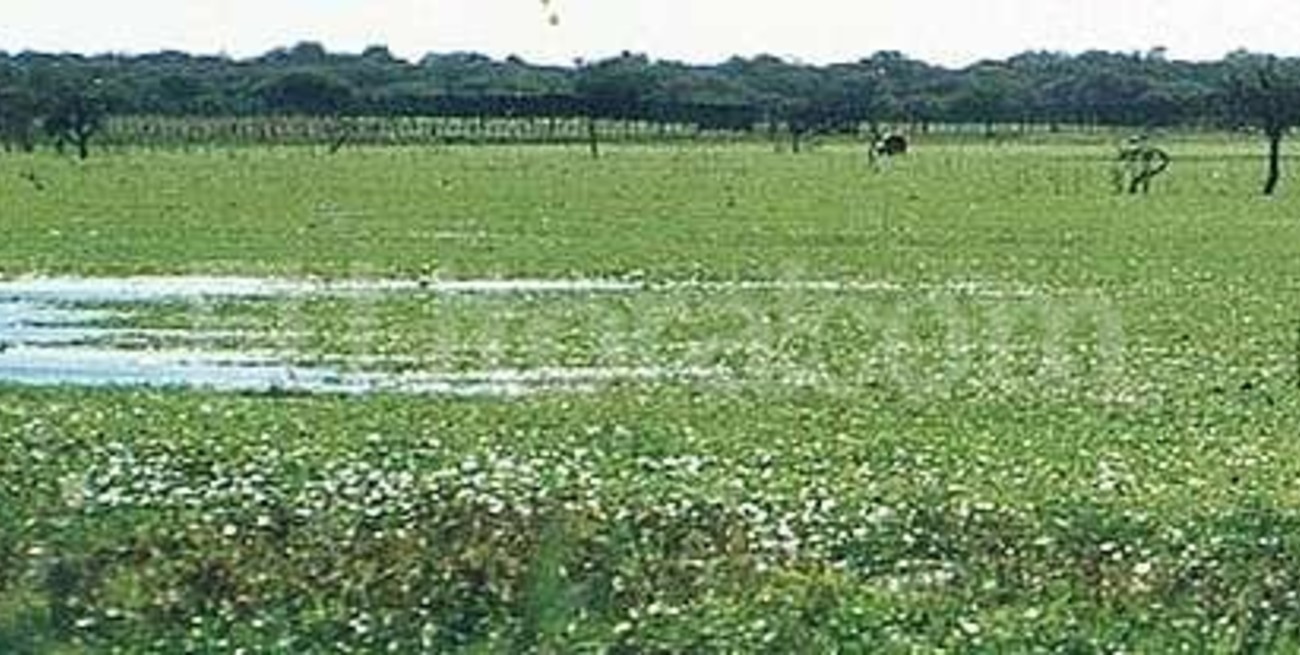 El gobierno realizará un Inventario Nacional de Humedales