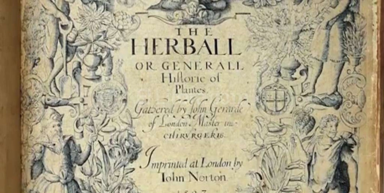 Retrato inédito revela la verdadera apariencia de Shakespeare